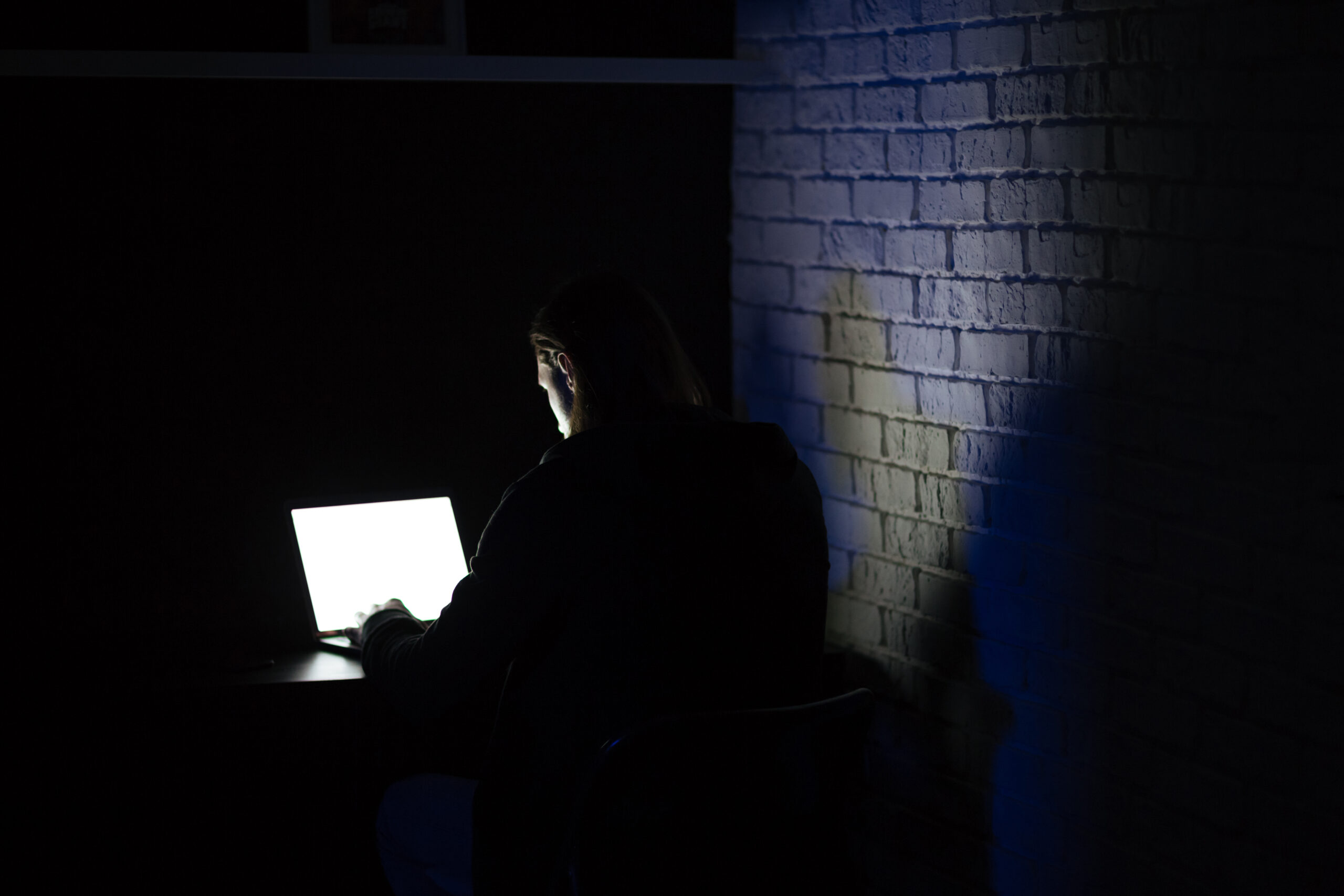 “Data Leak Detection”